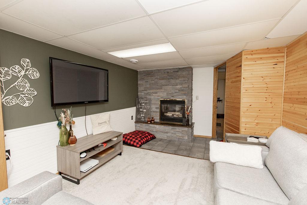 Basement Living Room