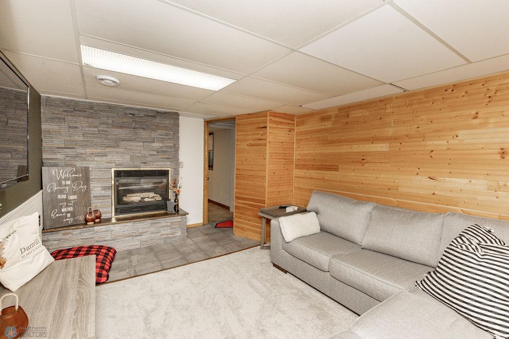 Basement Living Room
