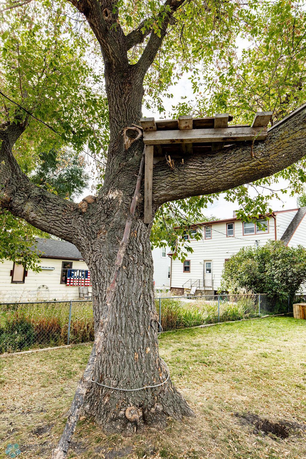 Treefort