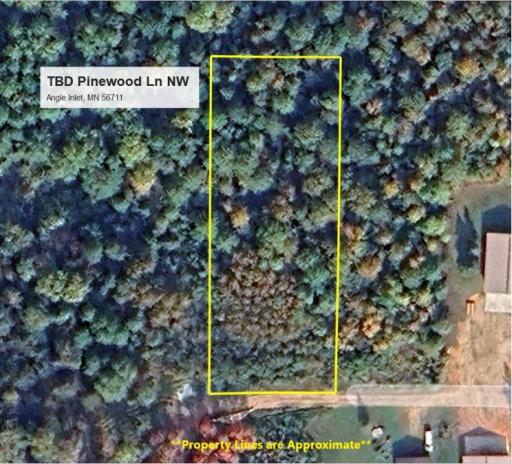 TBD Pinewood Lane NW, Angle Inlet, MN 56711