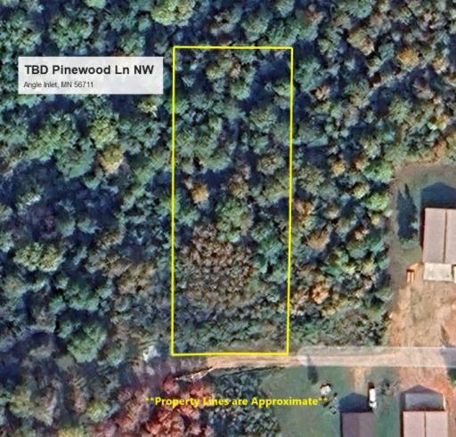 TBD Pinewood Lane NW, Angle Inlet, MN 56711
