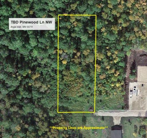 TBD Pinewood Lane NW, Angle Inlet, MN 56711