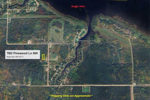 TBD Pinewood Lane NW, Angle Inlet, MN 56711