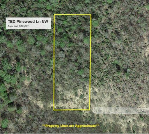 TBD Pinewood Lane NW, Angle Inlet, MN 56711