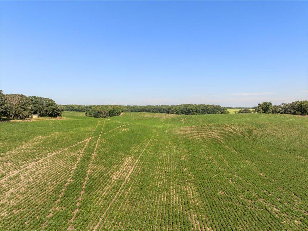 05-DJI_20240801145220_0527_D.jpg