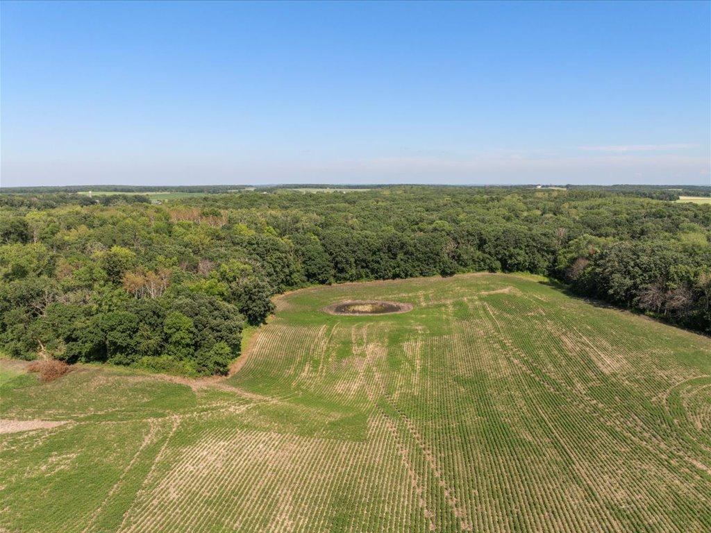 08-DJI_20240801145559_0558_D.jpg