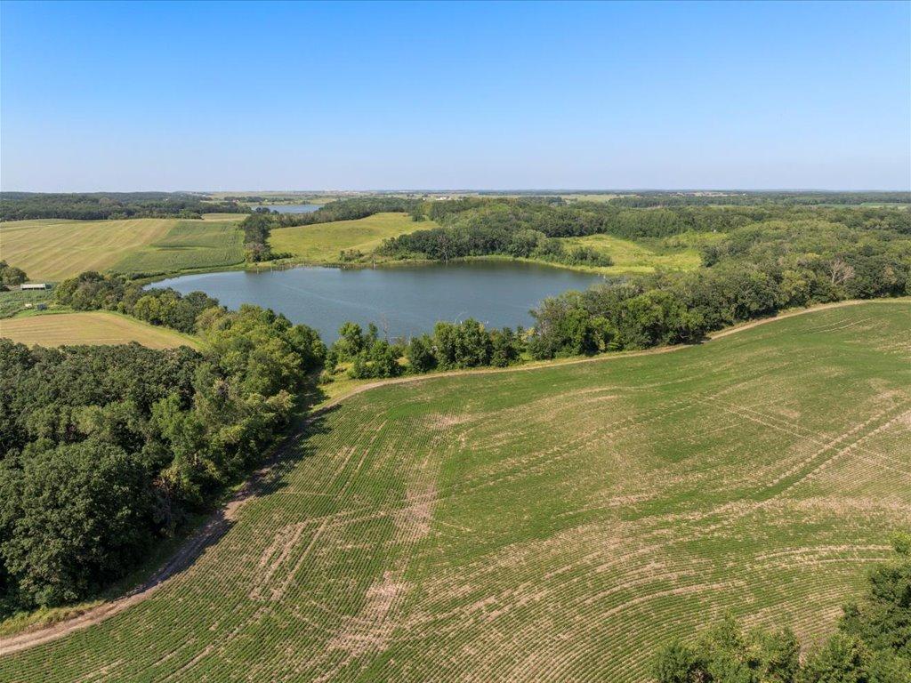 11-DJI_20240801145532_0555_D.jpg