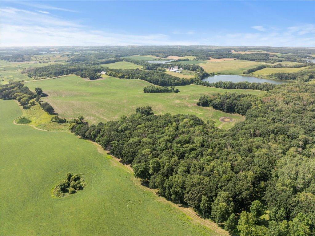 10-DJI_20240801145742_0571_D.jpg