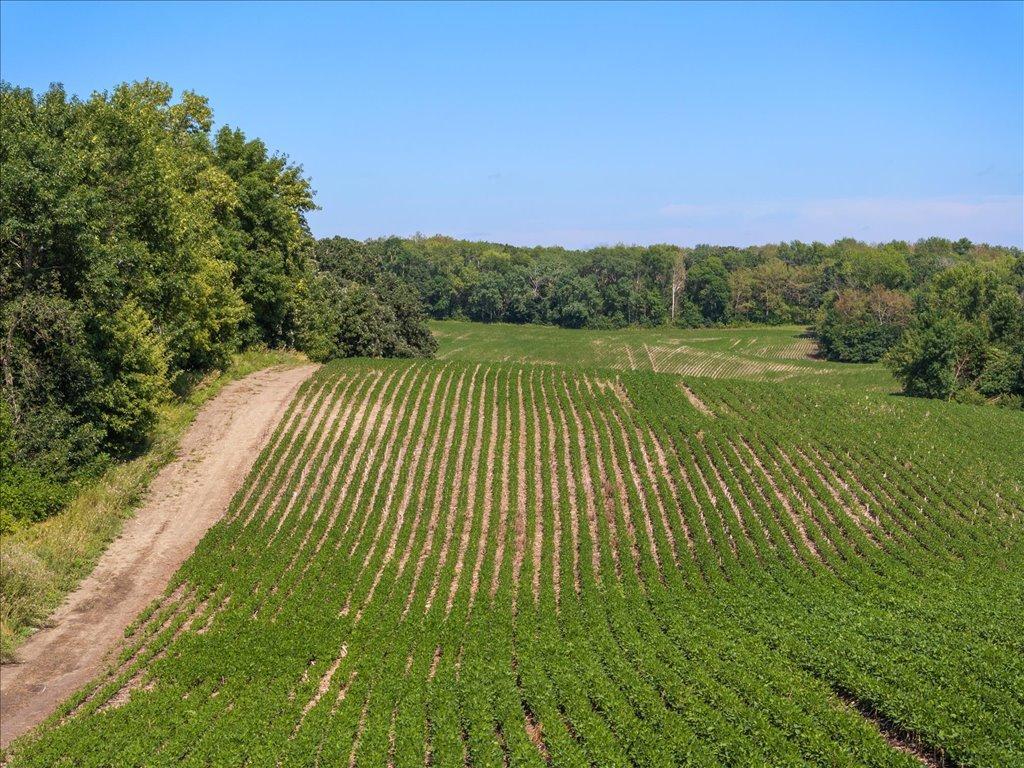 14-DJI_20240801145437_0546_D.jpg