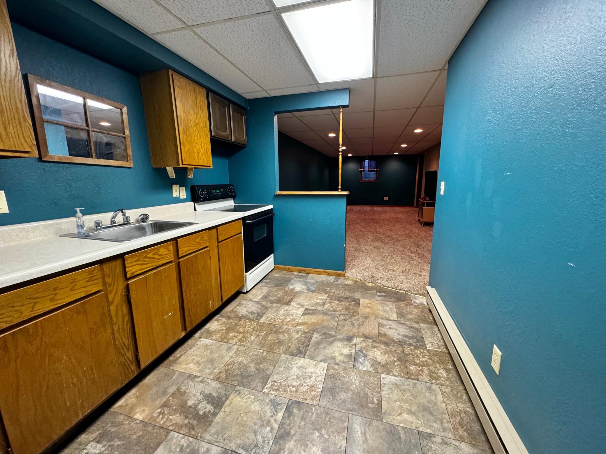 Kitchenette in basement