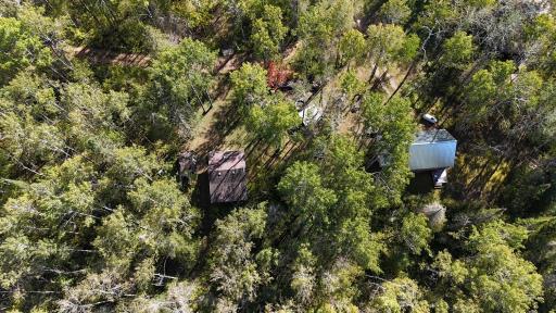 40 wooded acres w/3cabins, a bathhouse & hunting stands in Holyoke