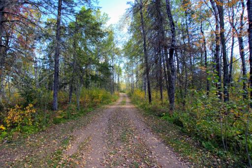 3897 Highway 23, Wrenshall, MN 55797