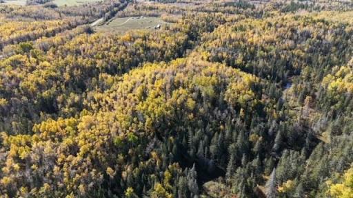 3897 Highway 23, Wrenshall, MN 55797
