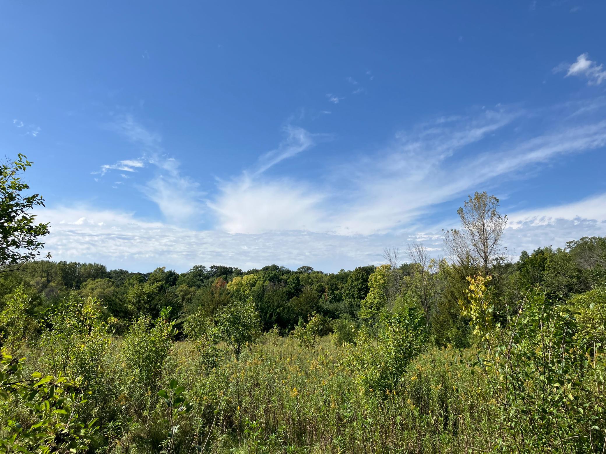 12 acres