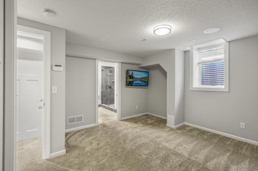 Lower Level Bedroom with its own Private Bathroom is perfect for guests or a teenager