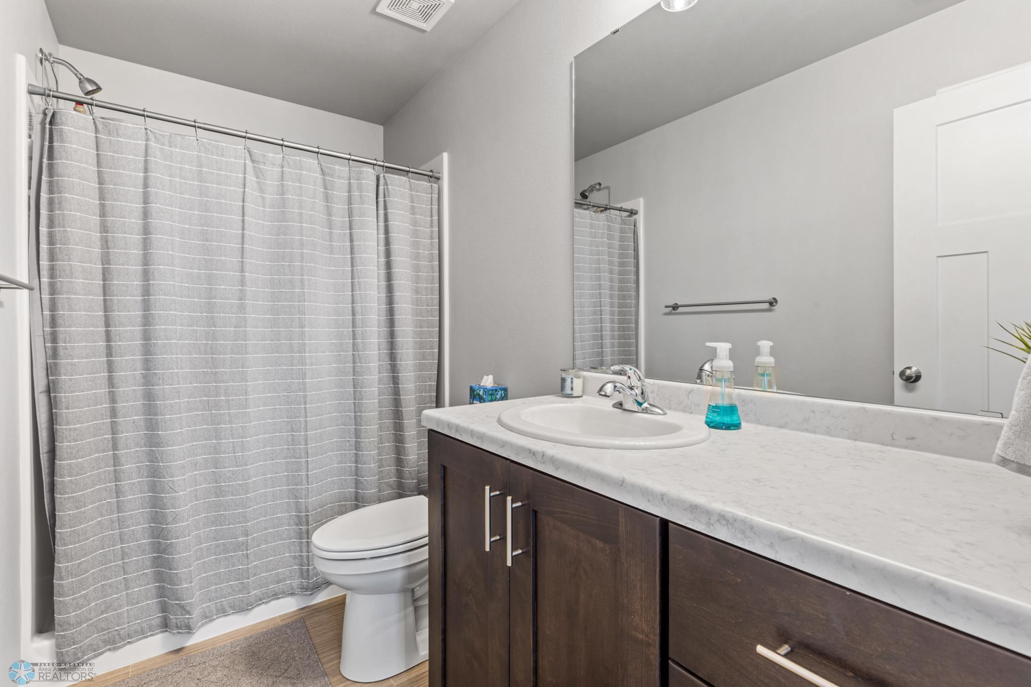 Lower Level Bathroom