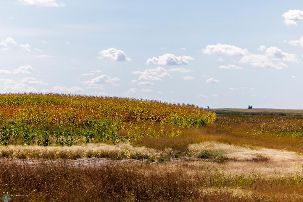Tibodeau-30.jpg