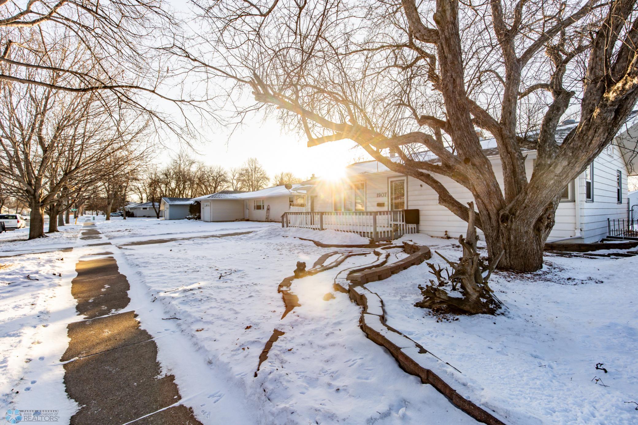 Front Yard