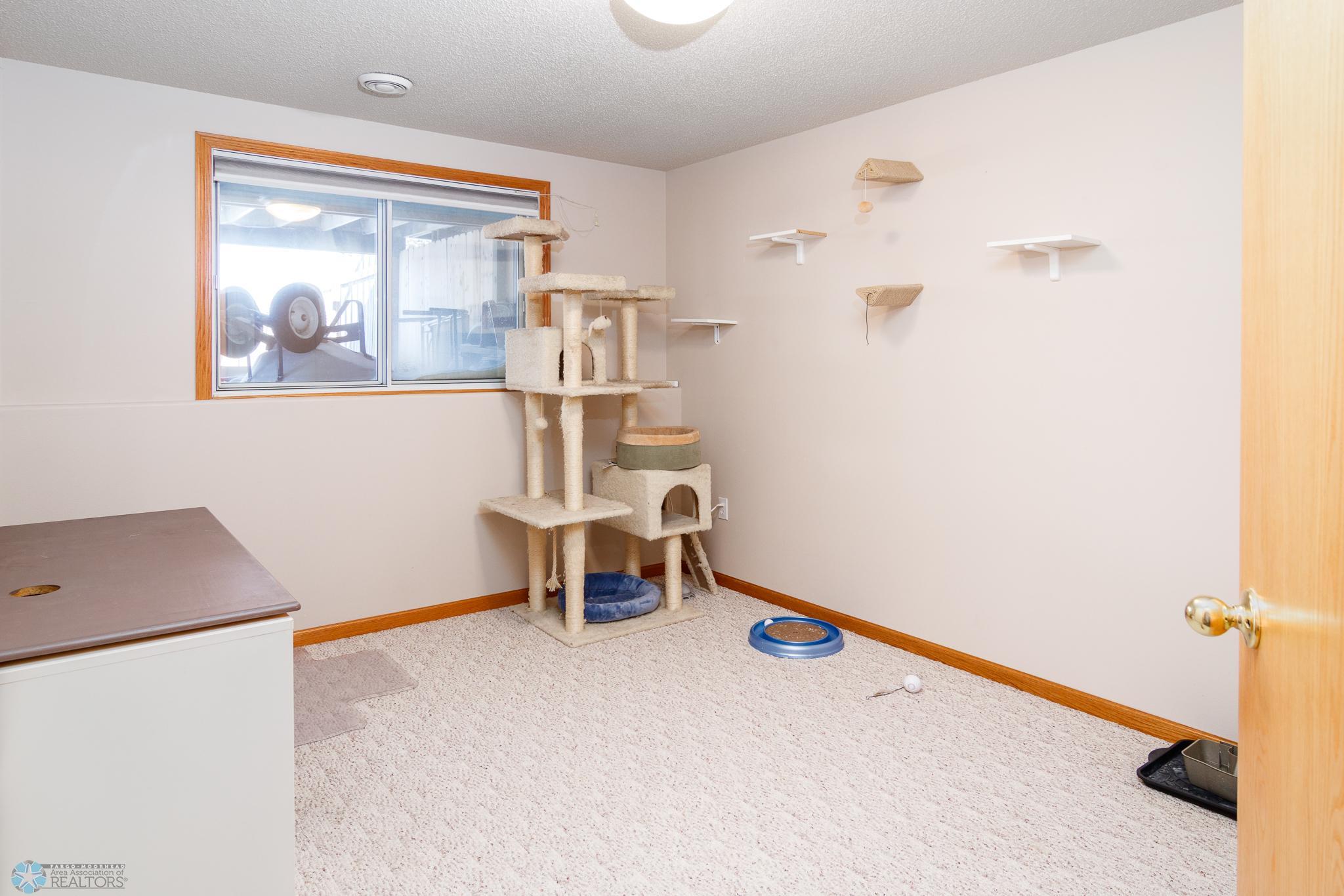 Lower Bedroom 2