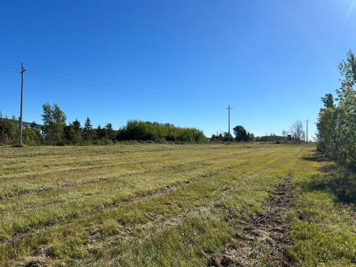 TBD State Hwy 11, Warroad, MN 56763