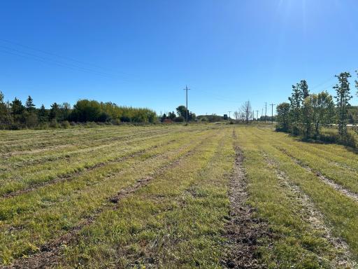 TBD State Hwy 11, Warroad, MN 56763