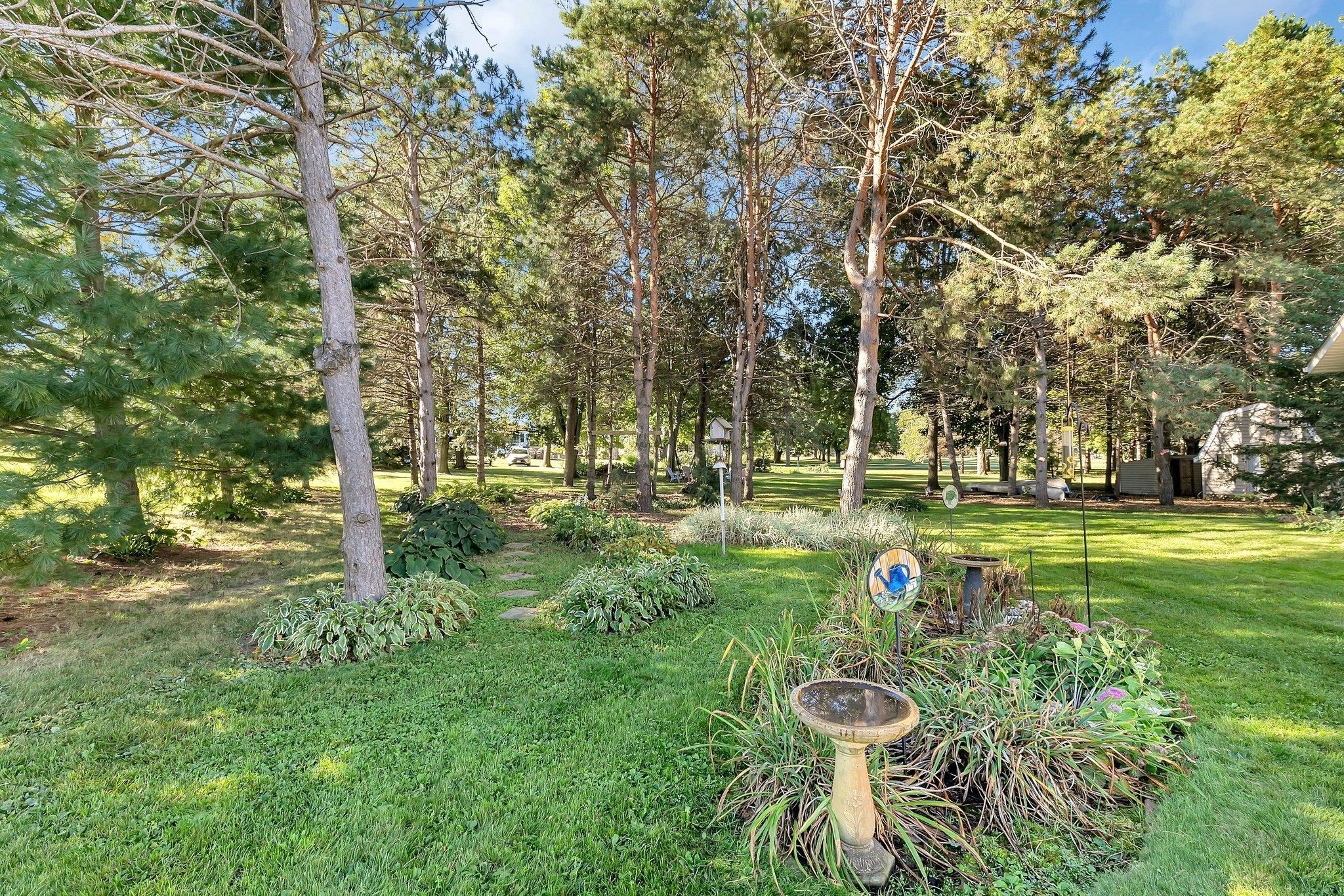 Back yard