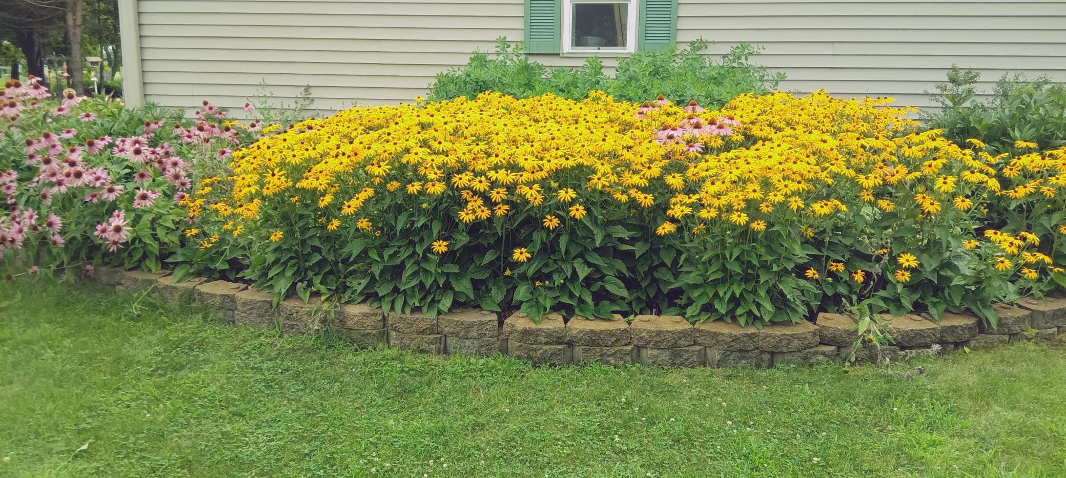 Beautiful flower gardens.