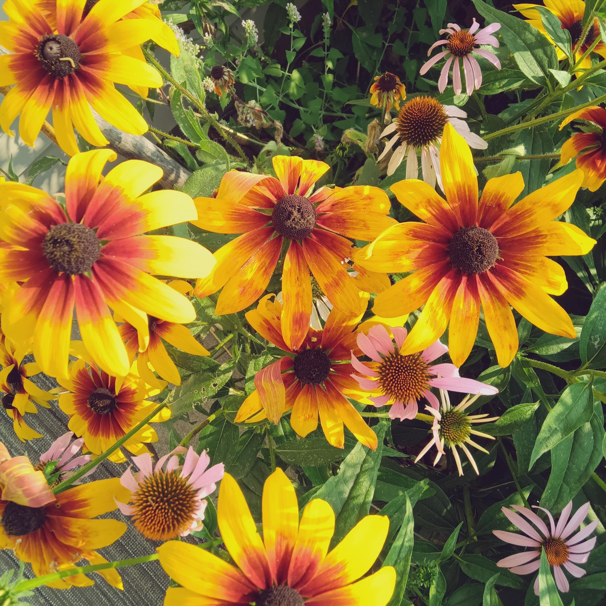 You will love the flowers.