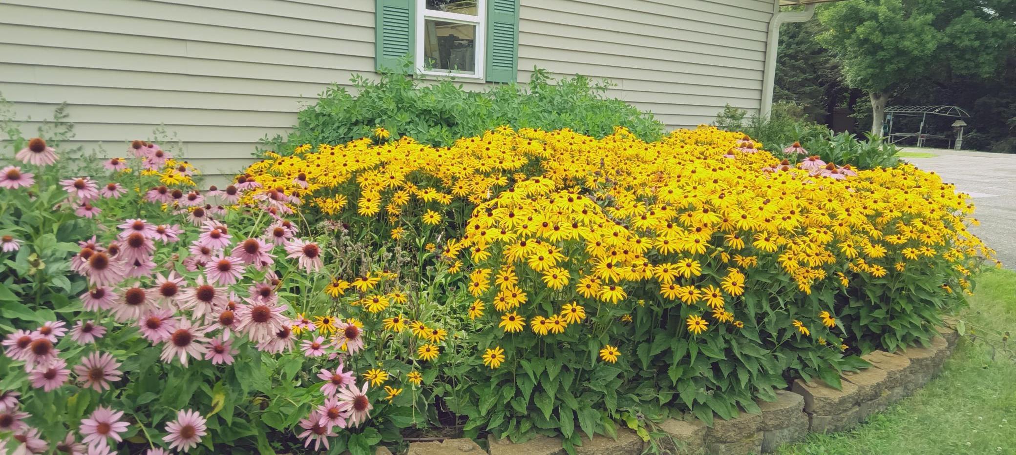 More flowers.