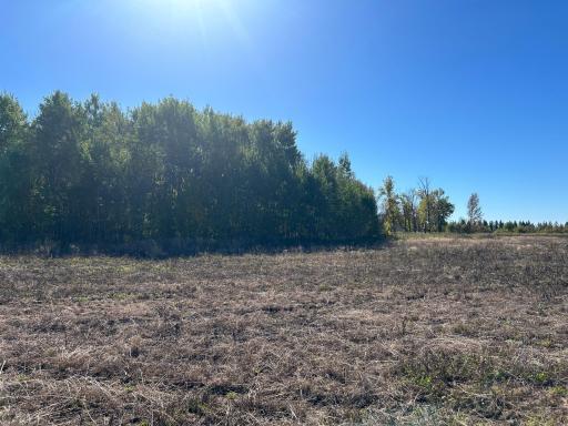TBD 380th Street, Warroad, MN 56763