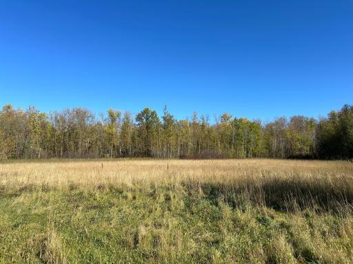 TBD 380th Street, Warroad, MN 56763