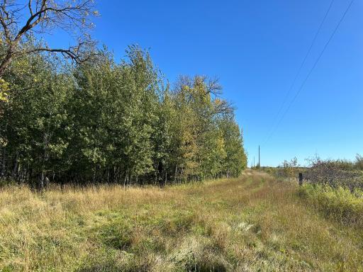 TBD 380th Street, Warroad, MN 56763