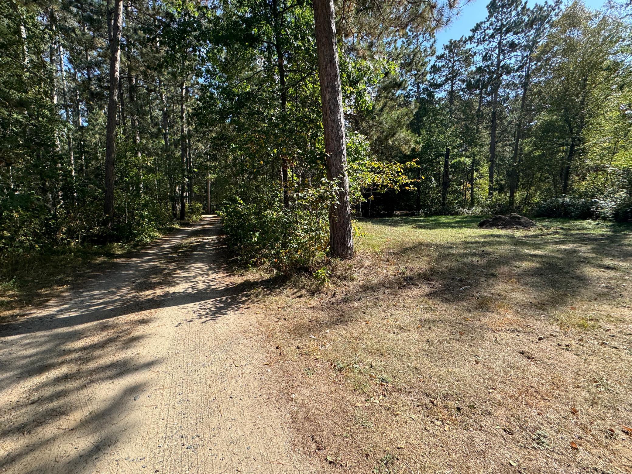 East side of lot.jpg