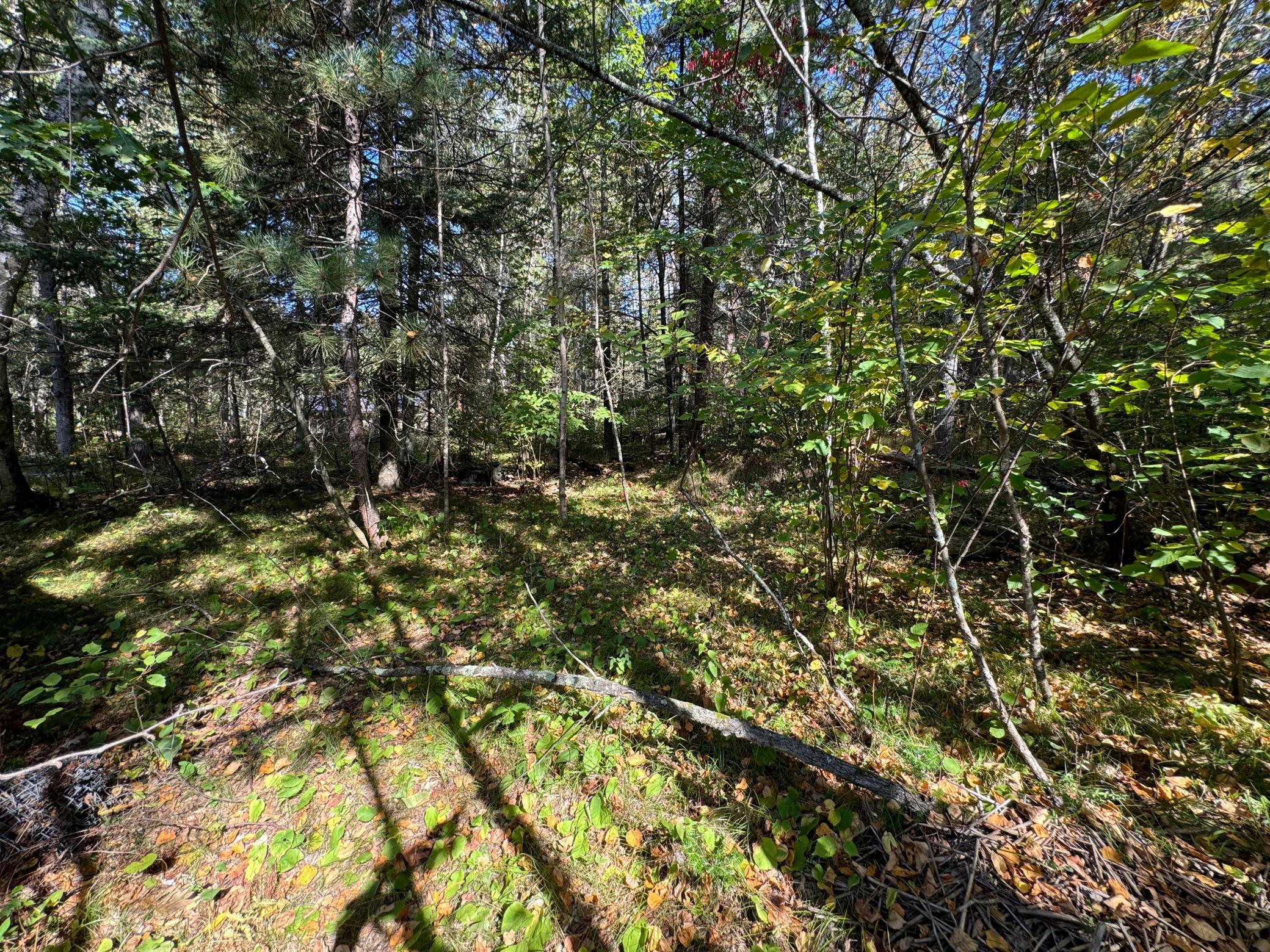 North side of lot.jpg