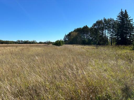 TBD Co 26, Ponsford, MN 56575