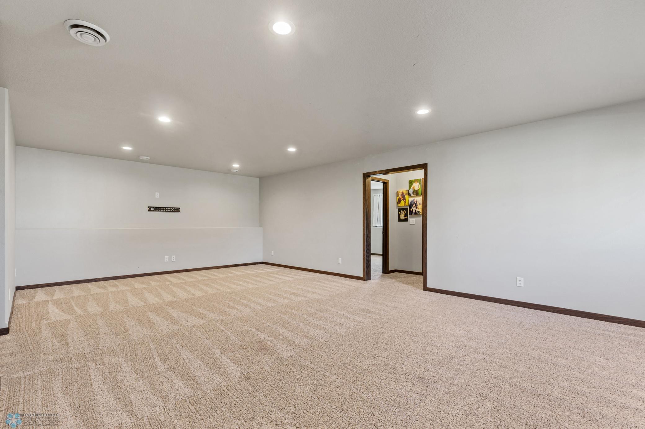 Spacious Lower Level Living Room