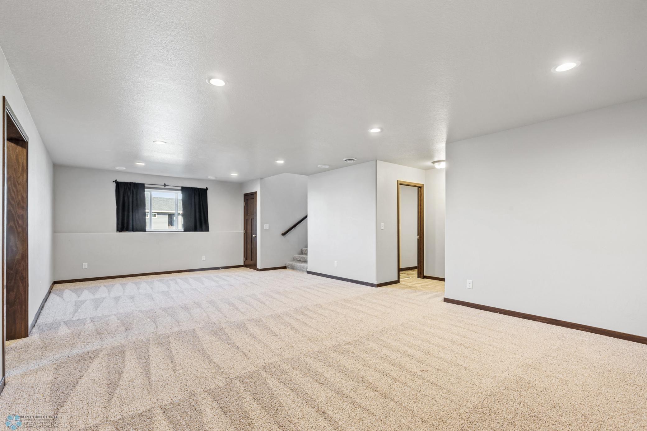 Large Lower Level Living Room