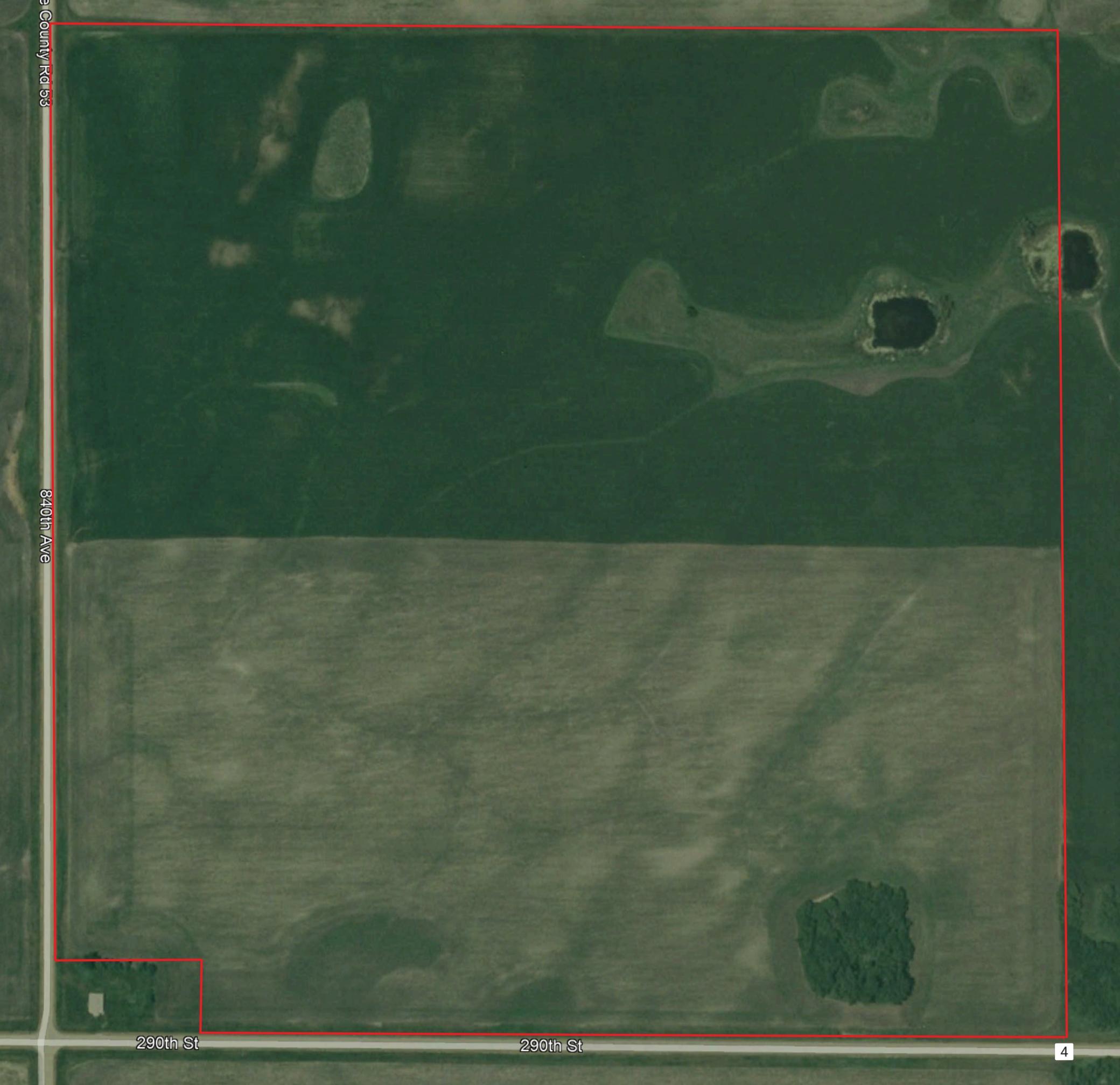 blomquist w lines.jpg