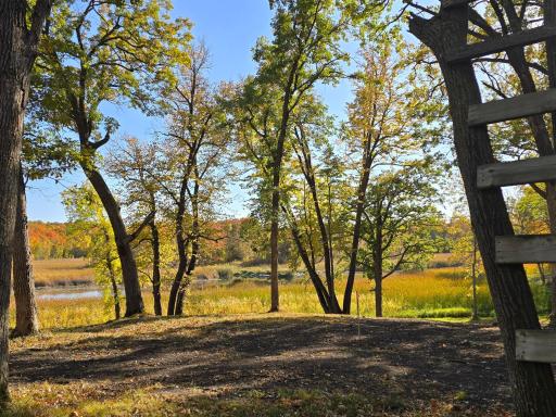 Tract D Blybergs Lane, Pelican Rapids, MN 56572