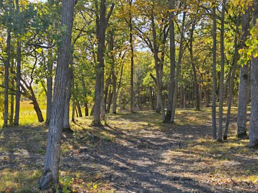 Tract D Blybergs Lane, Pelican Rapids, MN 56572