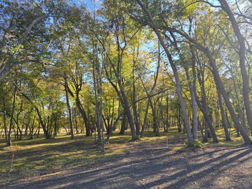 Tract D Blybergs Lane, Pelican Rapids, MN 56572