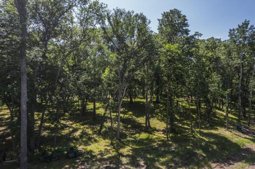 Tract D Blybergs Lane, Pelican Rapids, MN 56572