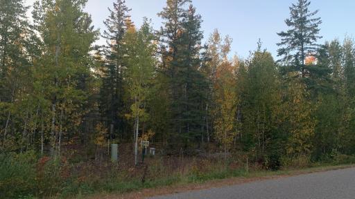 TBD Lot 11 & 1/2 10 Pine Tree Lane, Coleraine, MN 55722