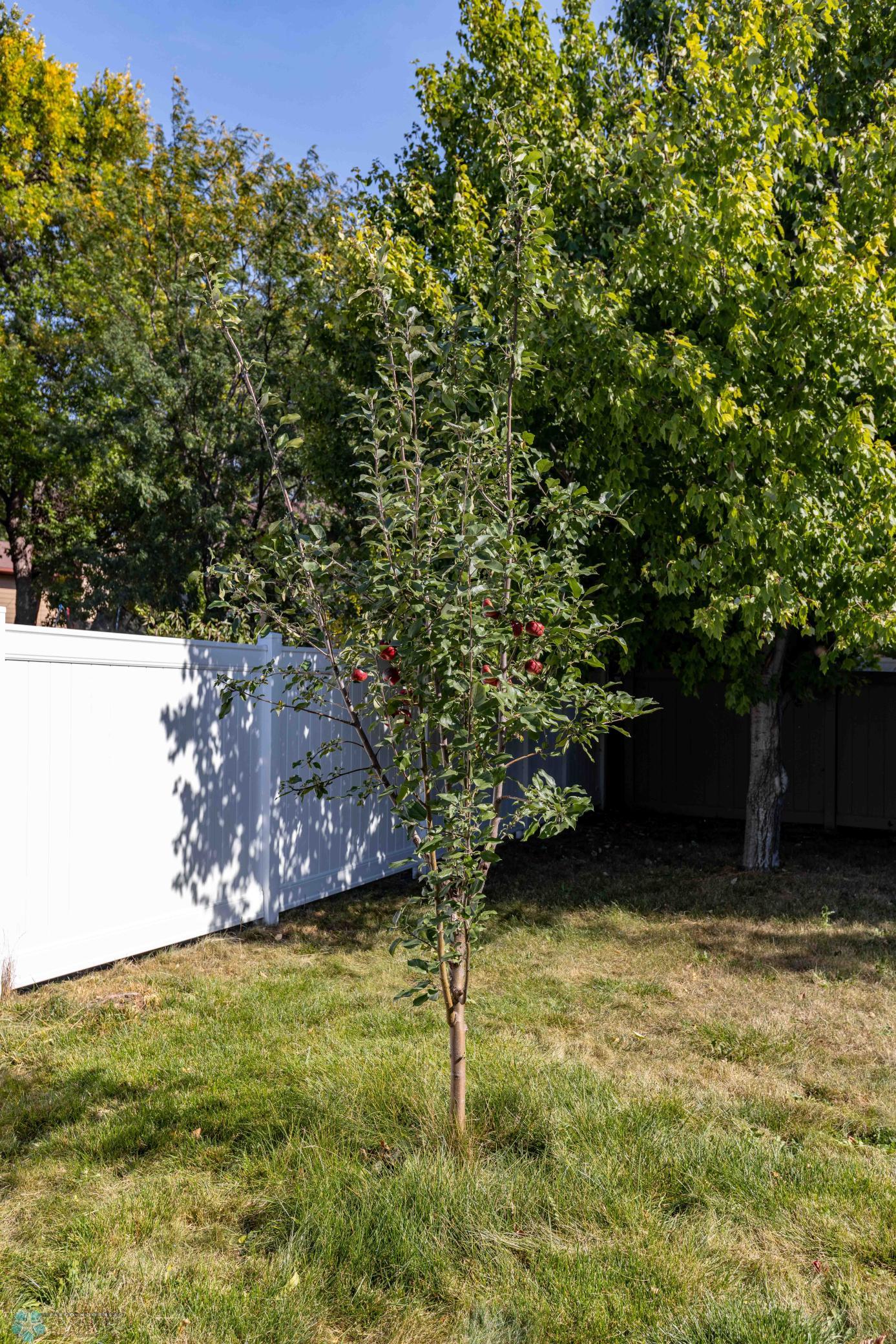 3044 bohnet blvd-13.jpg