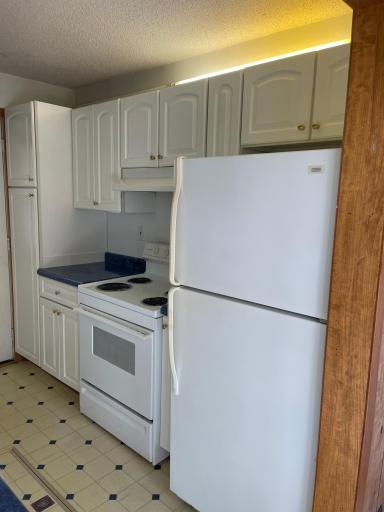 4485 N Shore Drive, Mound, MN 55364