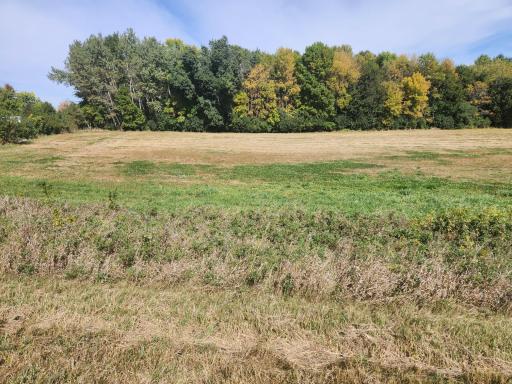 Lot 1 Edgewater Road, Lake Crystal, MN 56055