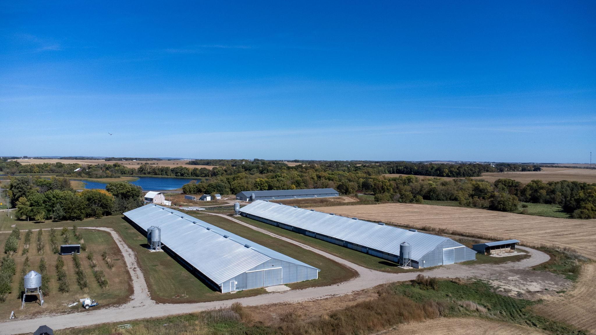 Two turkey barns