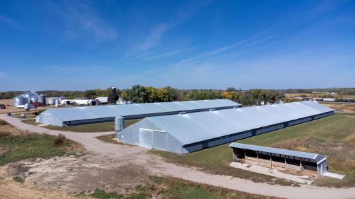 Two turkey barns measuring 76 x 416 with new roofs.