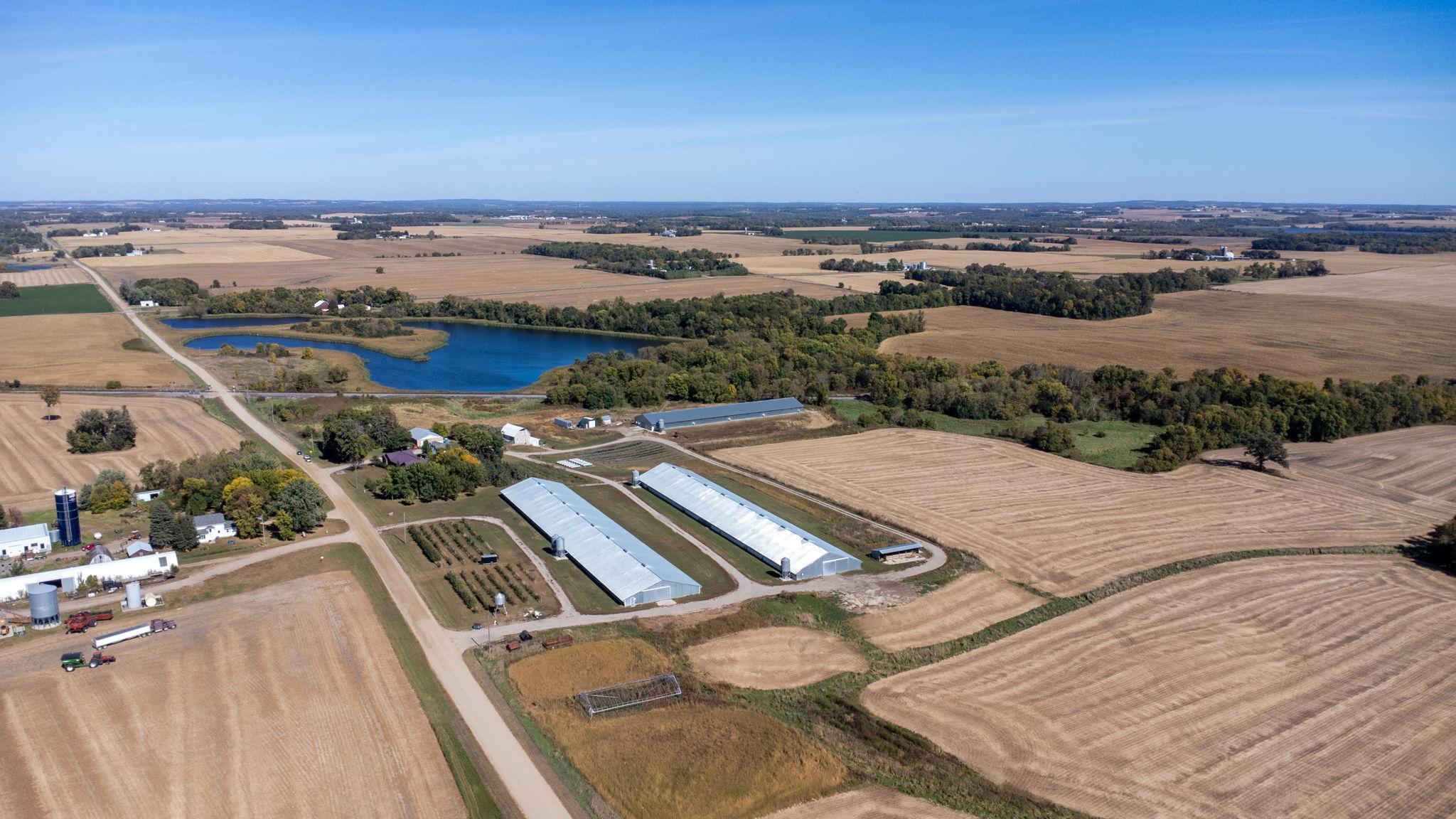 Lakewood Road on the left, two turkey barns, orchard near the road, field, and pond to the north.