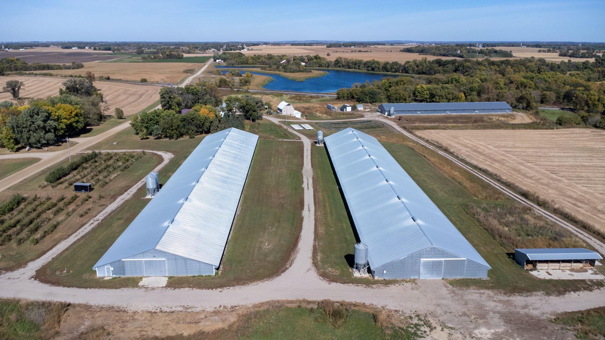 Two turkey barns